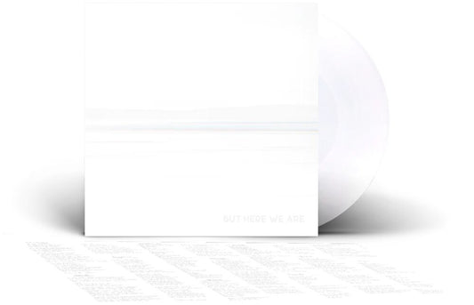 Foo Fighters – But Here We Are (Vinyl LP, 2023)