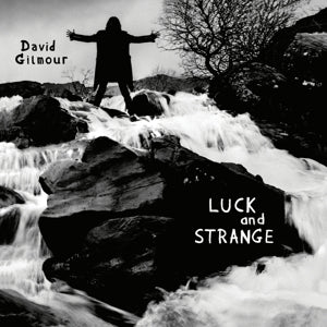 David Gilmour - Luck And Strange - 1 LP