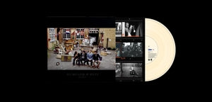 Mumford & Sons - Babel - 1 LP